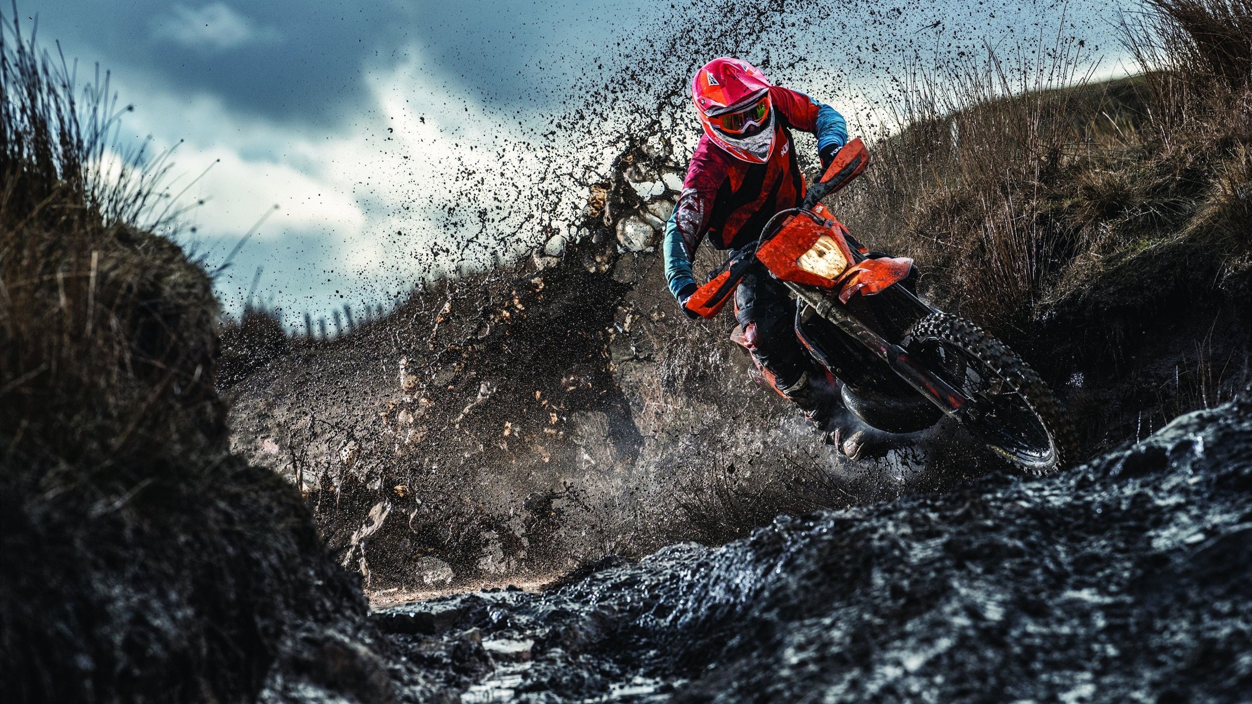 AC Milan-韩选手星际争霸技术提升显著，韩国星际争霸职业选手排名