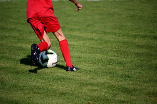 AC米兰-内线球员在快节奏体系下的功能性演变，内线球员的主要作用